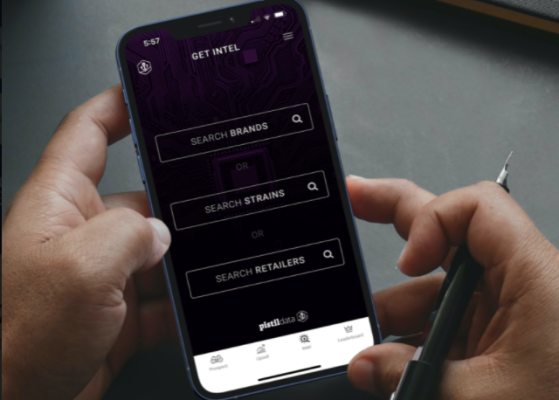 La plataforma de inteligencia de mercado de cannabis Pistil Data recauda $ 6.5M de Casa Verde y otros