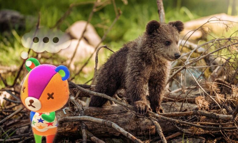 La secuela de ACNH de animales del mundo real debería agregarse como aldeanos