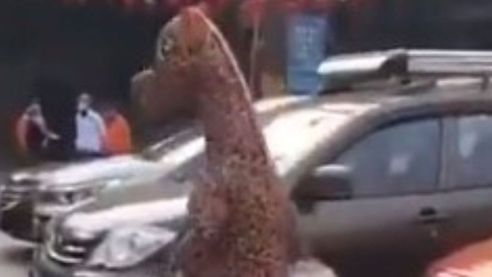 Los chinos se disfrazan para no contagiarse del coronavirus