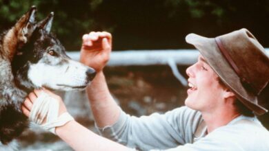 Los hijos de Ethan Hawke no lo reconocieron en White Fang de Disney