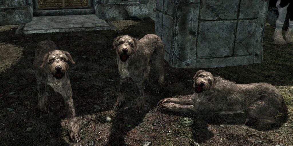 Los mejores perros en Skyrim, clasificados
