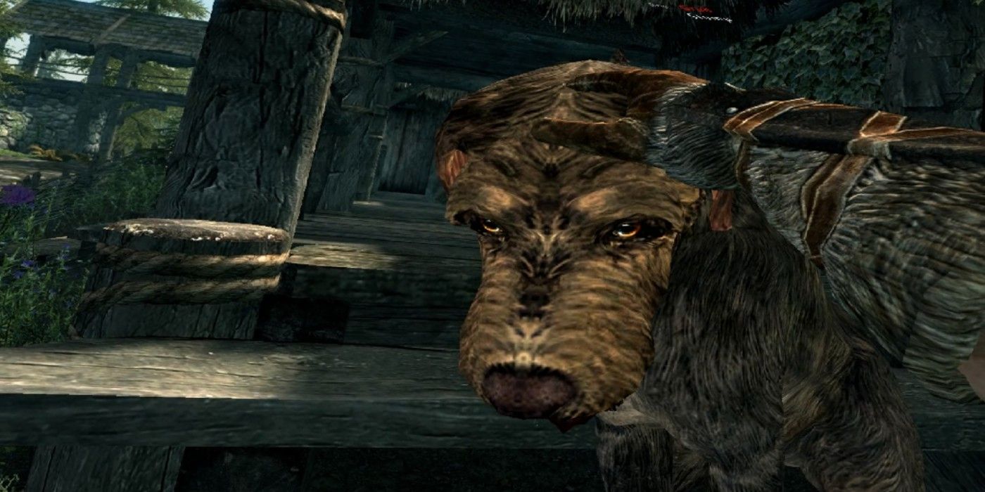Los perros de Skyrim obtienen mascotas inmersivas gracias a VR Mod