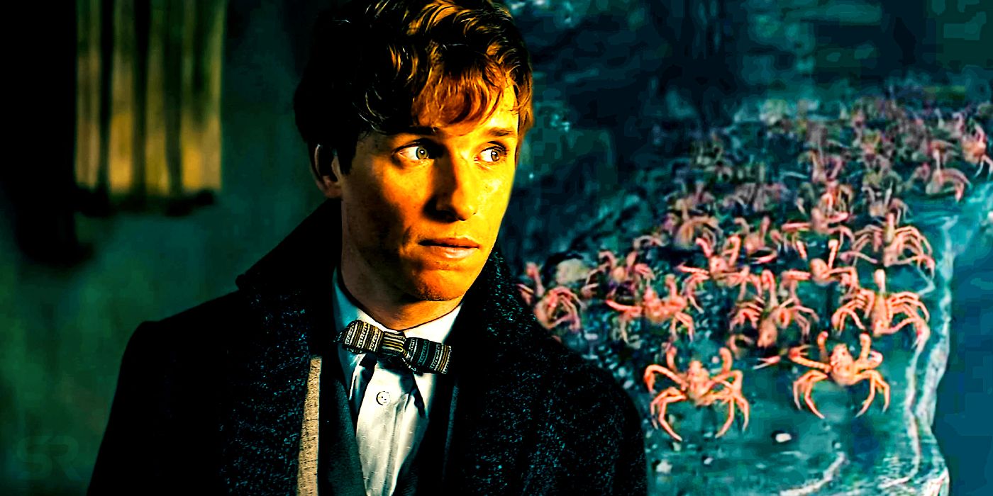 Los secretos de Dumbledore finalmente solucionan el problema del título de Fantastic Beasts