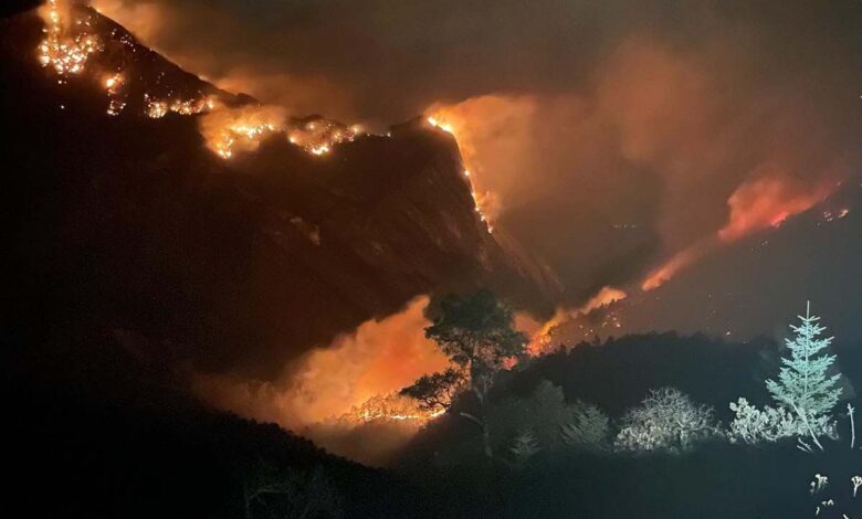 Más de 2 mil hectáreas afectadas y decenas de especies de animales en riesgo tras incendio en la Sierra de Santiago