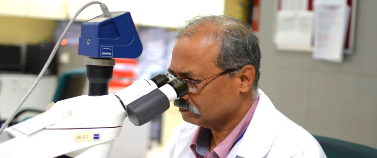 Microsoft usa IA para diagnosticar cáncer de cuello uterino más rápido en India