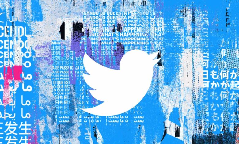 Musk dice que buscará derrotar a los bots y autenticar a todos los humanos en Twitter