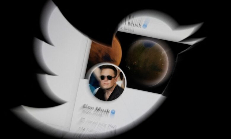 Musk, es una gran semana para liberar a @realDonaldTrump: republicanos