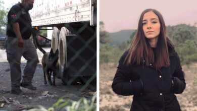 NL: Catean empresa de transportes en Escobedo para buscar a Debanhi Escobar