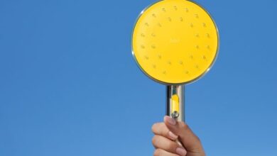 Ojos brumosos y cola tupida: conoce a Hai, el cabezal de ducha más inteligente del mundo