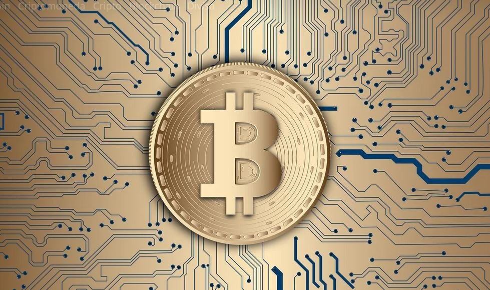 Pagar con criptomonedas en WhatsApp: te contamos cómo hacerlo