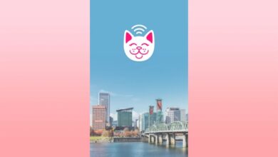 Parking Kitty hace que estacionar en Portland sea adorable
