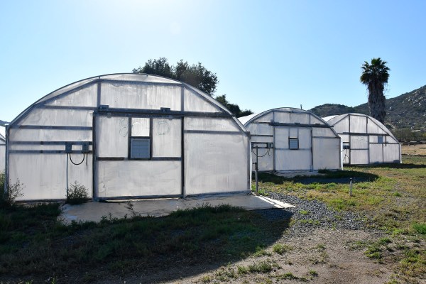 Plantible recauda $ 4.6 millones en una ronda de semillas para un reemplazo de clara de huevo que no es aquafaba