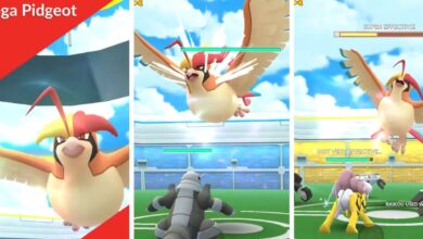 Pokémon GO: Mega Pidgeot Raid Battle Guide (Mejores contadores y conjuntos de movimientos)