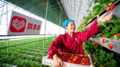 Por qué Pinduoduo está poniendo todas sus ganancias en la agricultura