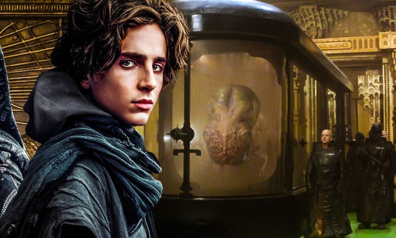 Por qué es bueno que la película Dune no incluya a The Guild
