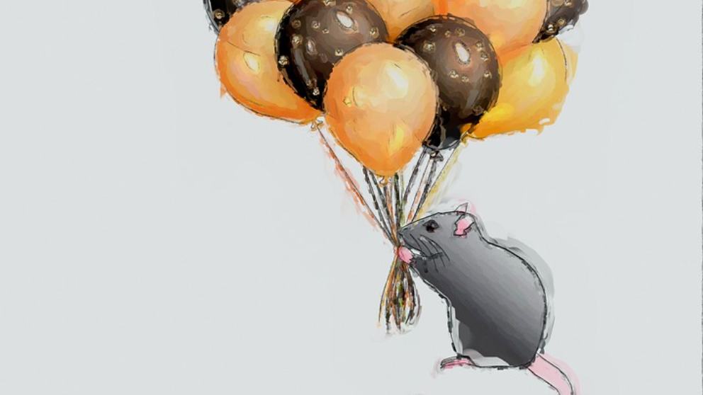 Predicciones 2020 del año de la rata, ¿Qué nos deparará?