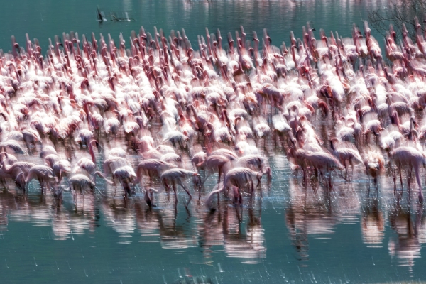 Project Sharp Shots de Adobe usa IA para desenfocar tus videos con un solo clic