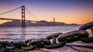 Resumen de TechCrunch+: biotecnología psicodélica, SPAC de Gogoro, visas H-1B para ucranianos