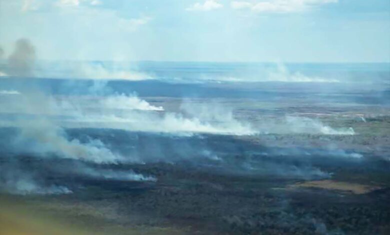 Se reactiva incendio forestal en Calakmul, Campeche