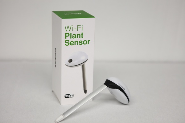Sensor Koubachi Wi-Fi Plant elimina las conjeturas de jardinería en macetas