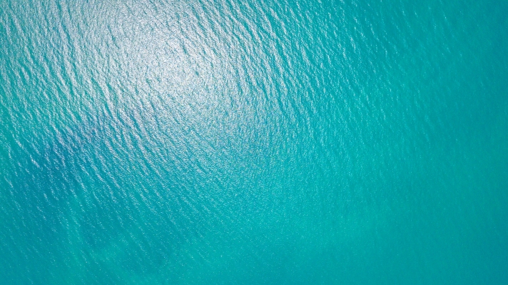 Signal AI, una startup de ‘aumento de decisiones’, recauda $ 50 millones para una plataforma que extrae información de Internet y otro contenido público