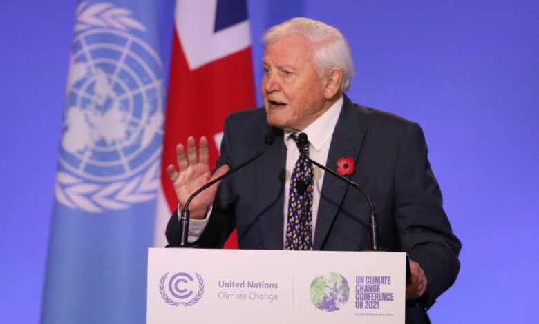 Sir David Attenborough es el "campeón de la Tierra" | Video