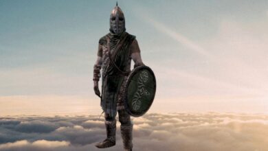 Skyrim Glitch tiene Windhelm Guard nadando por el aire