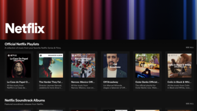 Spotify estrena un 'Netflix Hub' con música y podcasts vinculados a programas y películas de Netflix