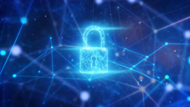StackHawk, el servicio de detección de errores con sede en Denver, contrata al desarrollador del proyecto de código abierto Zed Attack Proxy