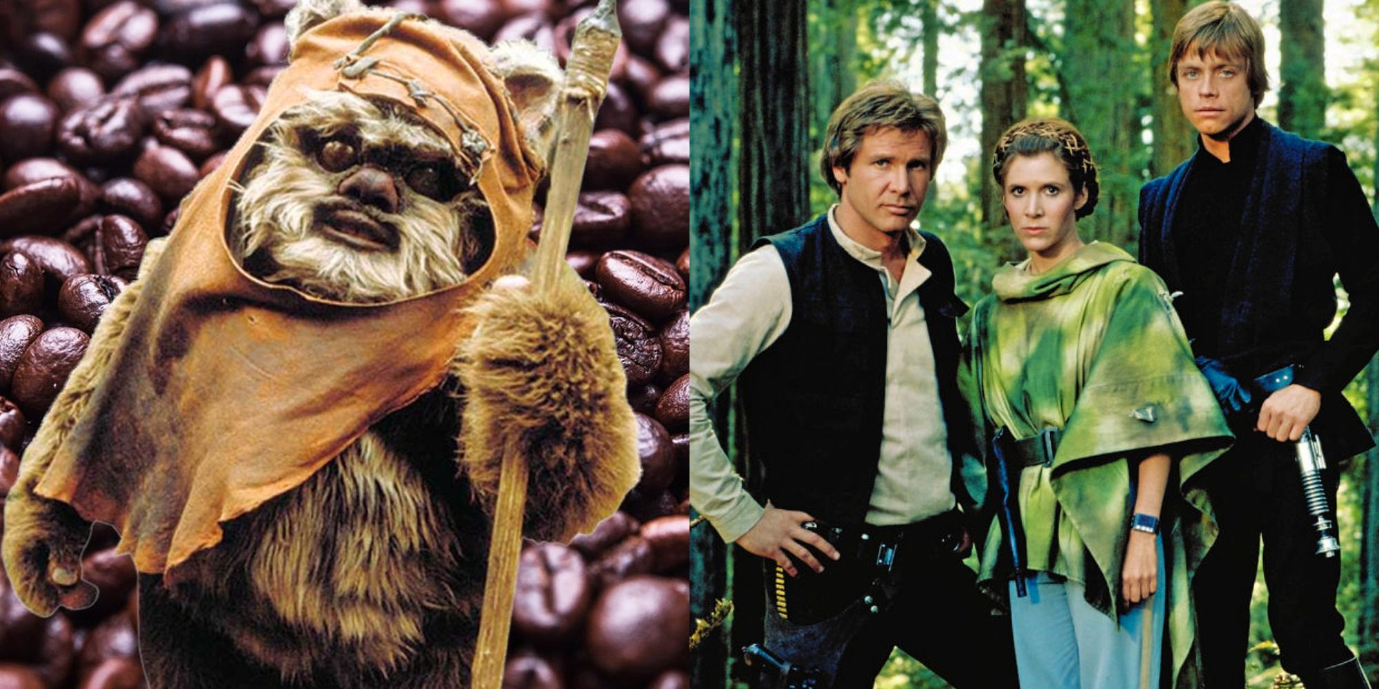 Star Wars: 11 cosas que solo los fanáticos acérrimos saben sobre Endor