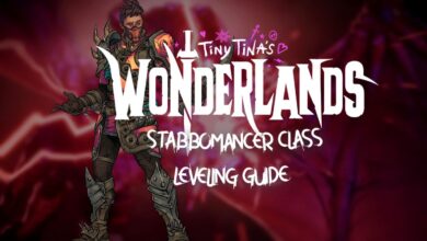 Tiny Tina's Wonderlands: Stabbomancer Class Leveling Guide