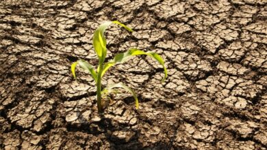 Turning Water Problems Into Business Opportunities