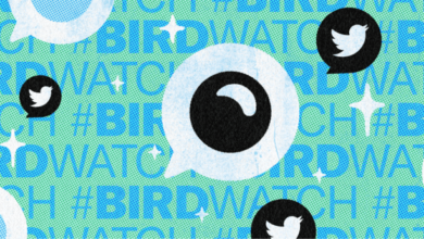 Twitter mostrará verificaciones de hechos de la comunidad 'Birdwatch' a más usuarios, luego de las críticas