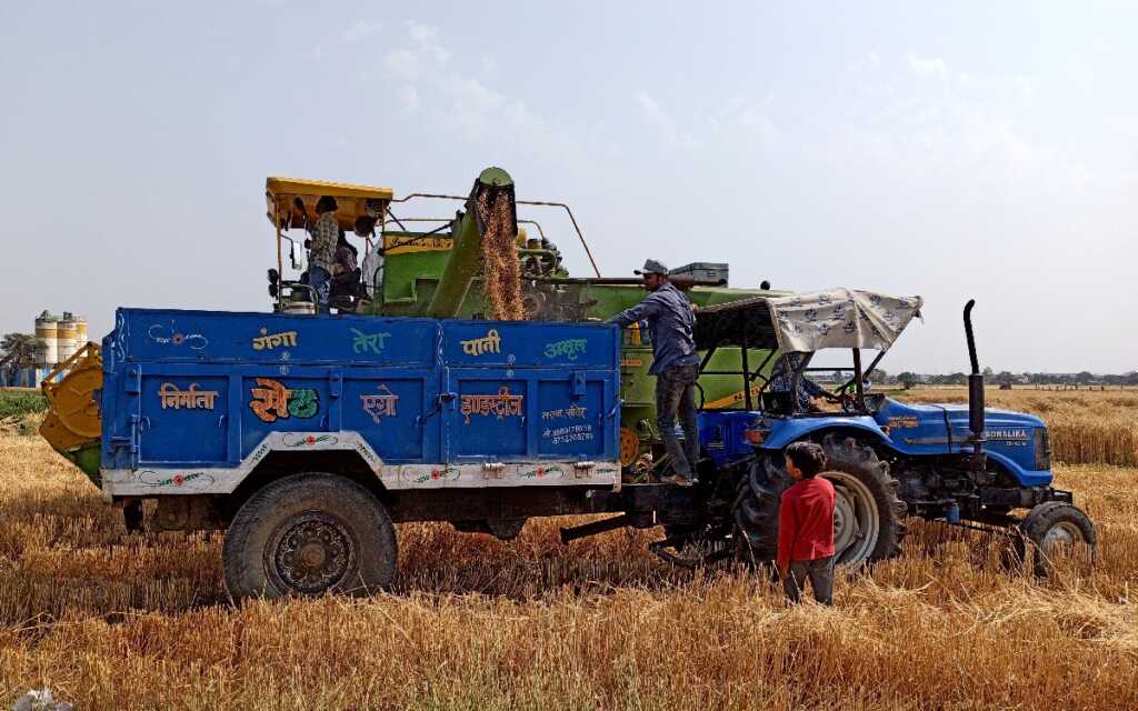 Ucrania acusa a Rusia de robar "cientos de miles de toneladas" de cereal