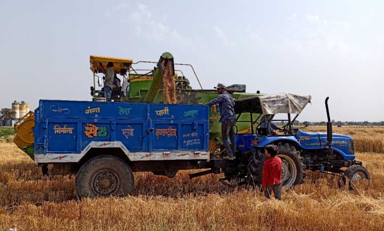 Ucrania acusa a Rusia de robar "cientos de miles de toneladas" de cereal