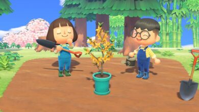 Un fanático de Animal Crossing celebra la temporada de los cerezos en flor con un adorable crochet