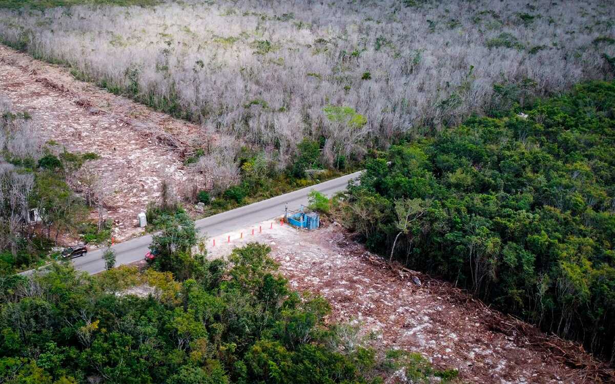 Venga a conversar a la zona de construcción, le responden a AMLO opositores al Tren Maya
