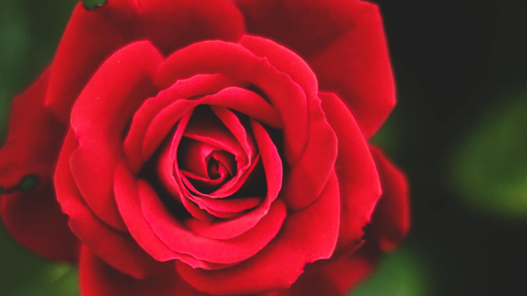 ¿En qué comunidades es festivo el 23 de abril?