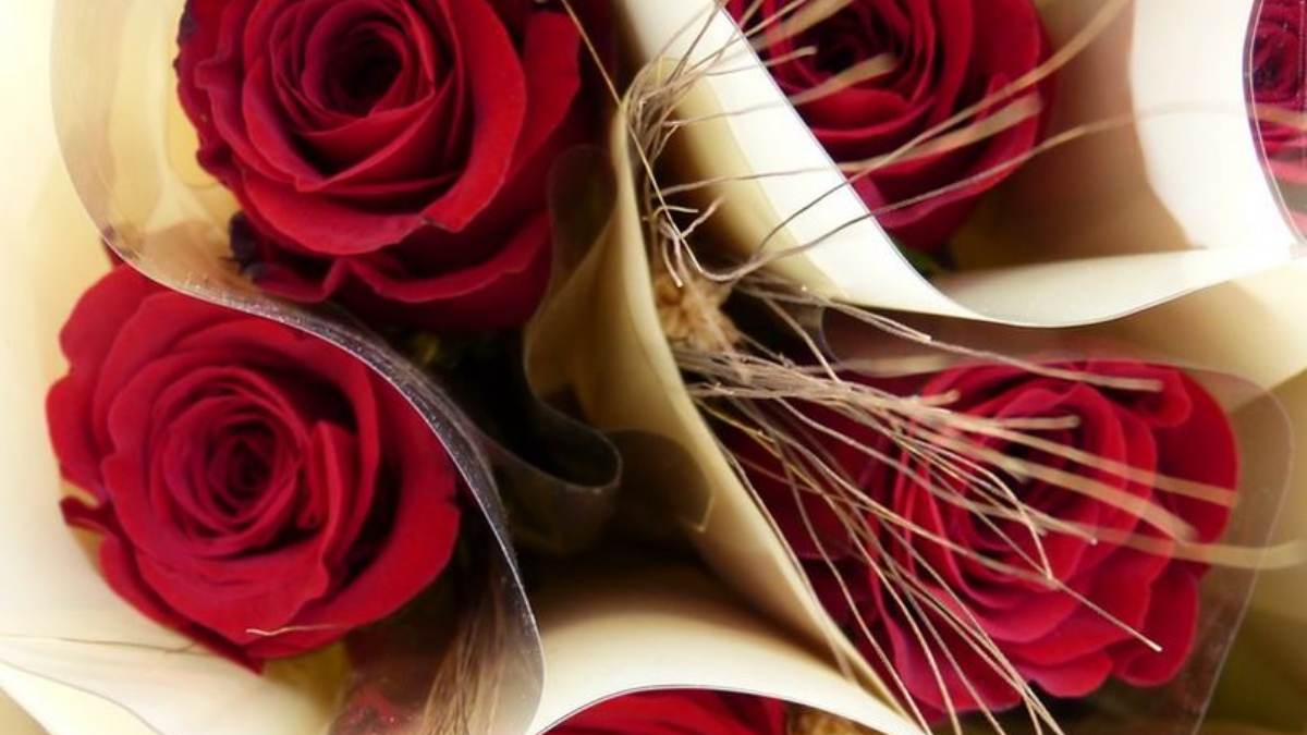 ¿Por qué se regalan rosas y libros el día de San Jorge?