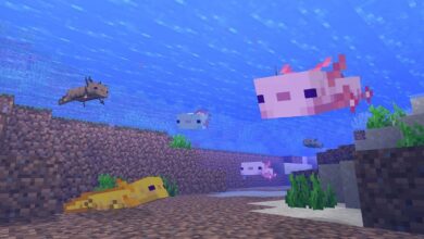 ¿Qué comen los ajolotes en Minecraft?