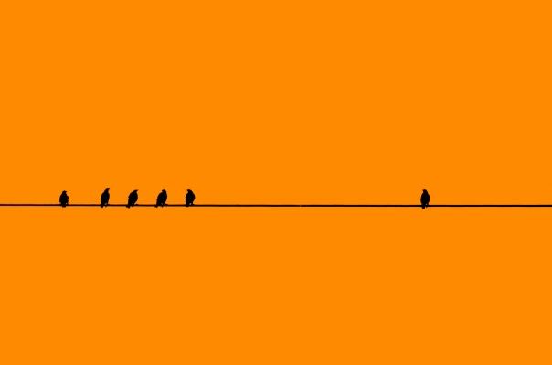 ¿Empezar solo o traer a un cofundador?  4 factores a considerar