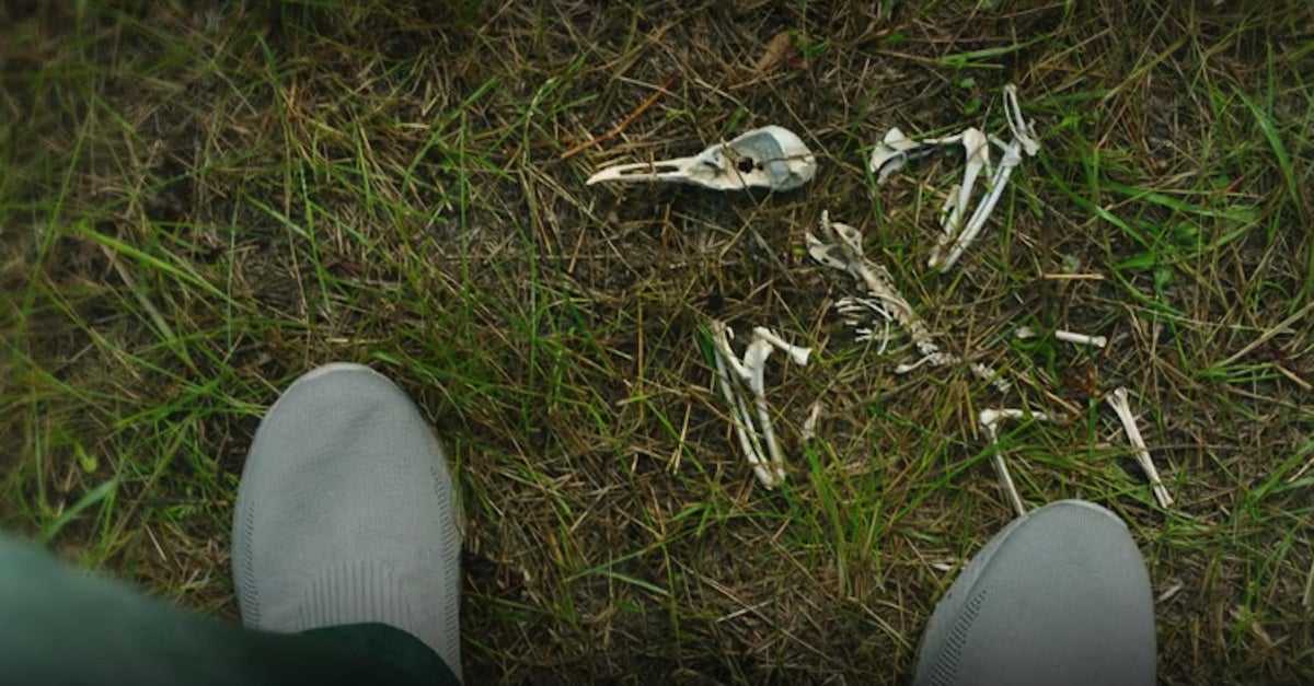 Un elemento importante de la escena retrospectiva de Khonshu se agregó mucho más tarde