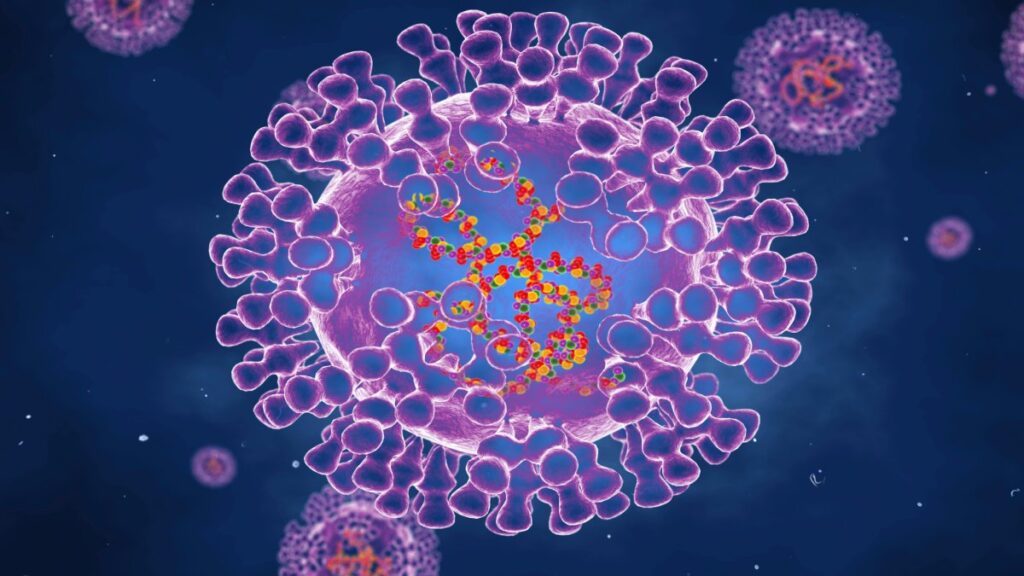 Massachusetts reporta el primer caso del raro virus de ‘viruela del mono‘ en EE. UU. este año