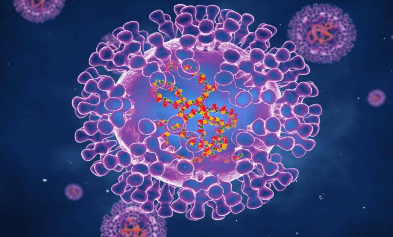 Massachusetts reporta el primer caso del raro virus de ‘viruela del mono‘ en EE. UU. este año