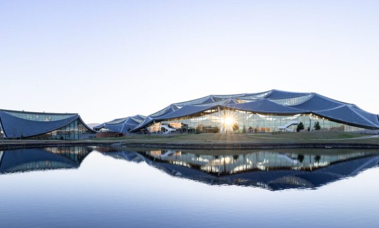 Un techo solar "escama de dragón" es el centro de atención del nuevo campus sostenible de Google en Bay View