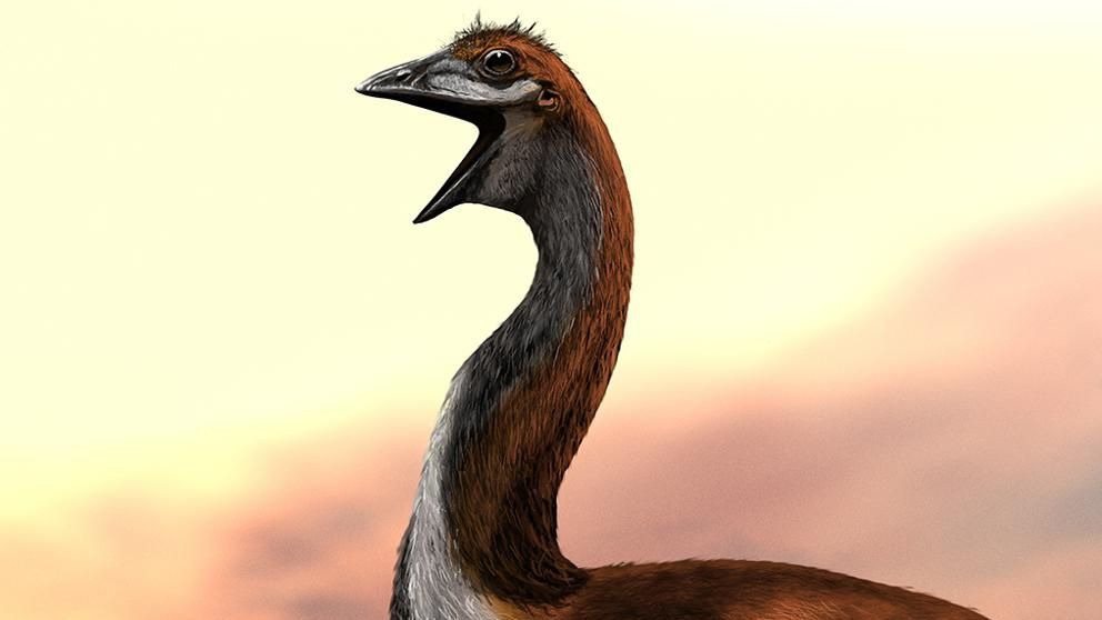 5 animales extintos que estaría bien resucitar