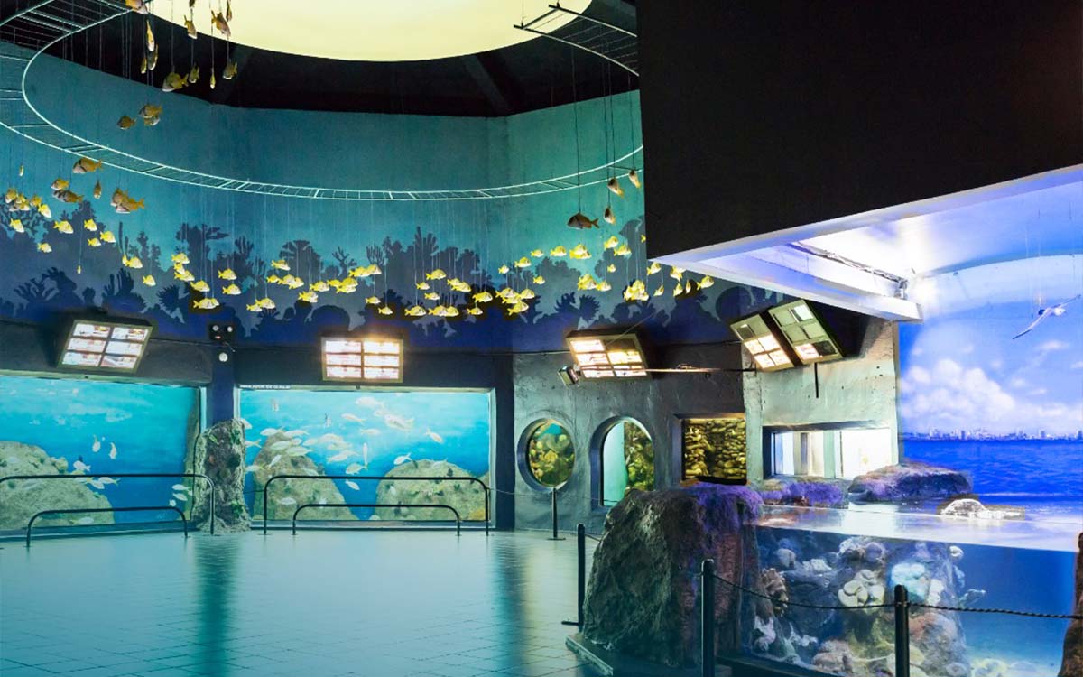 Acuario de Veracruz: una clausura, un manatí muerto y la extinción de un fideicomiso