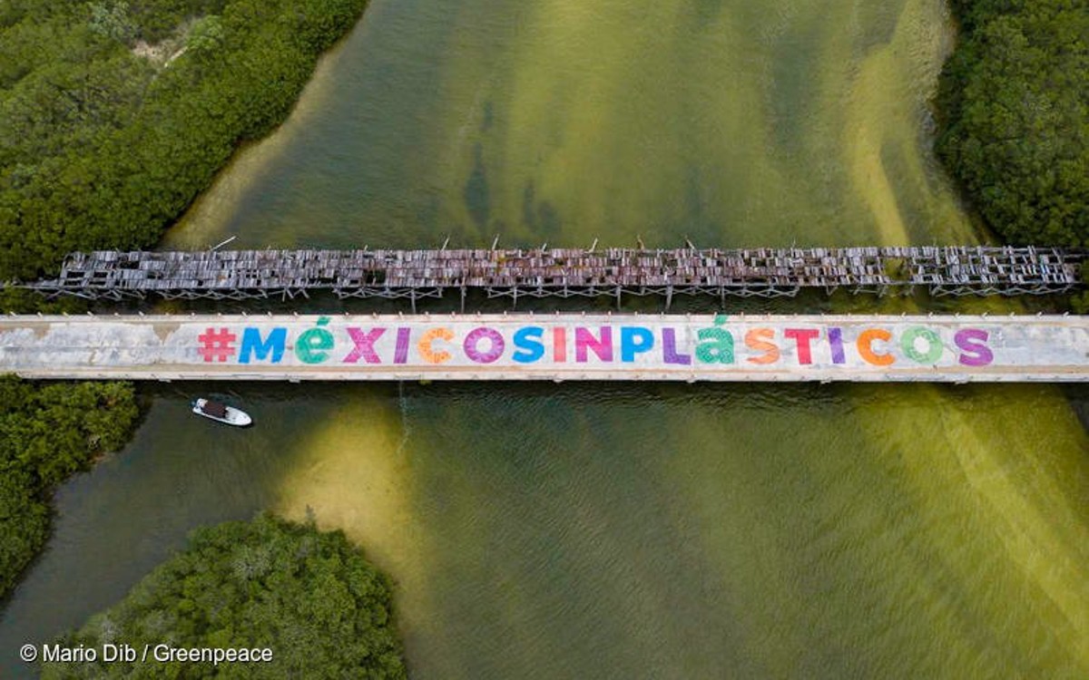 Ambientalistas exigen inclusión en el análisis y diseño de leyes