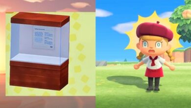 Animal Crossing: el soporte de exhibición ancho tiene un secreto espeluznante