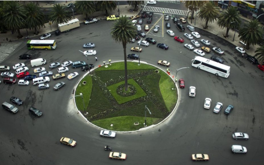 CDMX es hostil para palmeras, hay que elegir especies nativas: bióloga UNAM